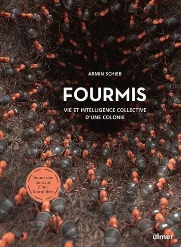Fourmis, Armin Schieb