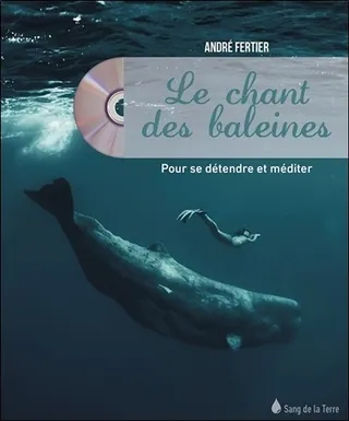 Le chant des baleines pour se détendre et méditer