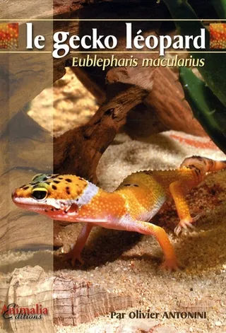 Le gecko Leopard