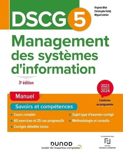Management des systèmes d'information, Christophe Felidj